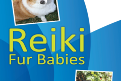 Request Quote: Reiki Fur Babies, Animal Reiki - Nationwide