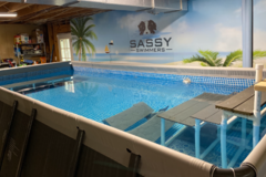 Request Quote: Sassy Swimmers - Dog Physical Therapy and Rehab - Birmingham, AL