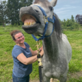 Aligned Equine Bodywork LLC - Animal Massage Services - Mt Vernon, WA