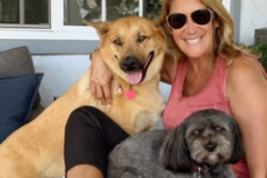Request Quote: Critter Sitters LA - In Home Pet Sitting Service - El Segundo, CA