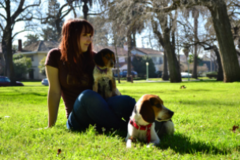 Request Quote: Midtown Mutts - Dog Walking and In Home Pet Sitting - Sacramento, CA
