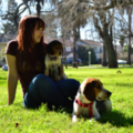 Midtown Mutts - Dog Walking and In Home Pet Sitting - Sacramento, CA