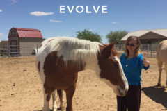 Request Quote: Reconnect and Evolve - Animal Reiki Care - Nationwide