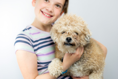 Request Quote: Lorene Nardell Pet Photography - Niwot, CO