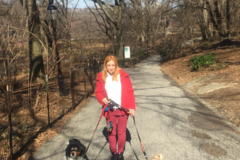 Request Quote: Wags West Dog Walking and Cat Sitting - New York, NY
