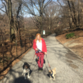 Wags West Dog Walking and Cat Sitting - New York, NY
