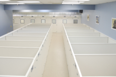 Request Quote: The Parc Pet Suites, Sports & Spa - Pet Boarding Resort - Longwood, FL
