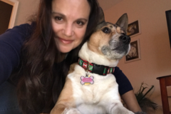 Request Quote: Holistic Pet Care & Healing * Yucca Valley, CA - Nationwide