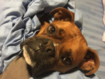 My Buddy Bronx!  Healed of Anxiety and Reactivity!