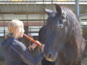Sweet Allie and I Sound Healing in Action!