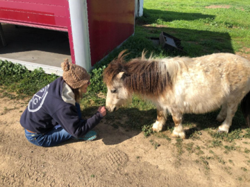 Buffy, who Would like to be Called Primabella!