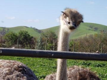 Basking in the Energy!