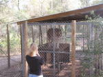 Balshoy Loves Reiki!