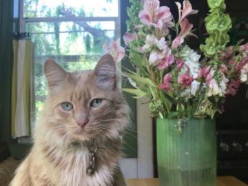 Ivan-One of my Biggest Fans!