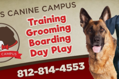Request Quote: Ollie's Canine Campus, LLC - Dog Boarding and More - Terre Haute, IN