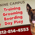 Ollie's Canine Campus, LLC - Dog Boarding and More - Terre Haute, IN