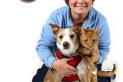 Request Quote: Pet First Aid 4U - Dallas, TX