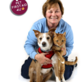 Pet First Aid 4U - Dallas, TX