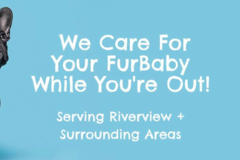 Request Quote: Furbaby Walks LLC - Dog Walking and Pet Sitting - Riverview, FL