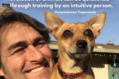 Request Quote: Holistic Dog Training  - Eugene, OR