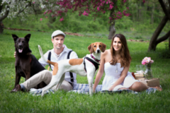Request Quote: Juliana Leschinsky Pet Photographer - Long Branch, NJ