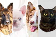 Request Quote: Delaney Willard - Etsy Pet Portrait Artist - Nationwide
