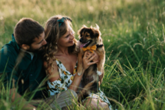 Request Quote: Heather Colley Pet Photography - Cincinnati, OH