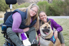 Request Quote: Michael's Angel Paws - Private Dog Training Service - Las Vegas, NV