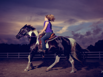 horse