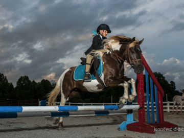horse jumping