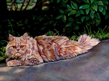 "George" ~ Persian Cat (Commission)