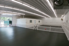 Request Quote: Walk My Paws, LLC. - Dog Training - Newbury, MA