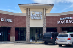 Request Quote: Wholistic Woofers & Co. - Cat and Dog Training - Missouri City, TX
