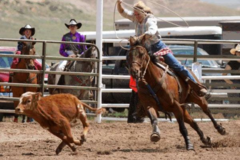 Request Quote: The Bar R Ranch - Horse Boarding - Idaho Falls, ID