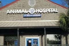 Request Quote: Animal Hospital of South Carolina - LITCHFIELD, SC