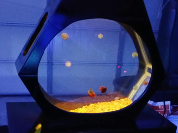 Jelly Fish Aquarium 