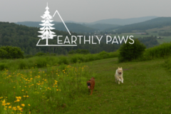 Request Quote: Earthly Paws LLC - Pet Sitting - Tewksbury, MA