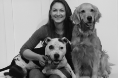 Request Quote: CSM Private In Home Dog Training - San Francisco, CA