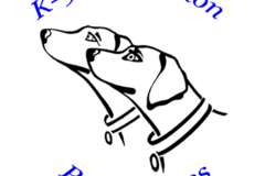 Request Quote: K-9 Companion Pet Services - In Home Pet Sitting - Houston, TX
