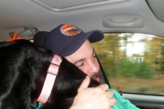 Request Quote: KMT Pet Care & Transport - In Home Pet Sitting and Pet Taxi  - Bedford, MA