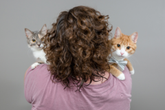 Request Quote: Photography by Tanya Plonka - Pet Photographer - Lethbridge, AB
