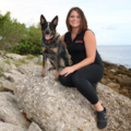Steadfast Dog Training  - Lithia, FL
