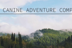 Request Quote: The Canine Adventure Company - Dog Sitting Service - Suwanee, GA