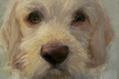 Request Quote: Nancy Bass Pet Portraits  - Nationwide