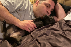 Request Quote: We Care Pet Services - In Home Pet Sitting - Las Vegas, NV