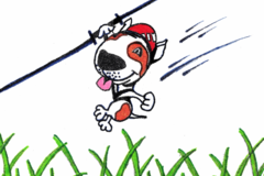 Request Quote: Zippity Do Dog Training and Behavior Modification LLC  - Norton, MA