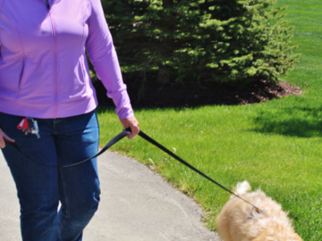 From daily dog walks to care while you travel, Comfy Sitters provide the best care and love your  pets like their own!