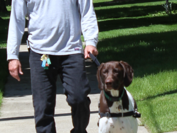 Daily exercise is important especially for young dogs and active breeds