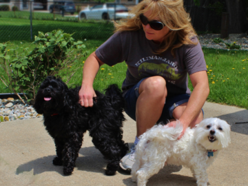 Our Potty Break Visit provides dogs with a mid-day break and lots of TLC