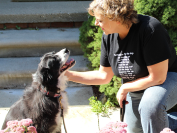 We develop strong bonds and lasting relationships with the pets in our care